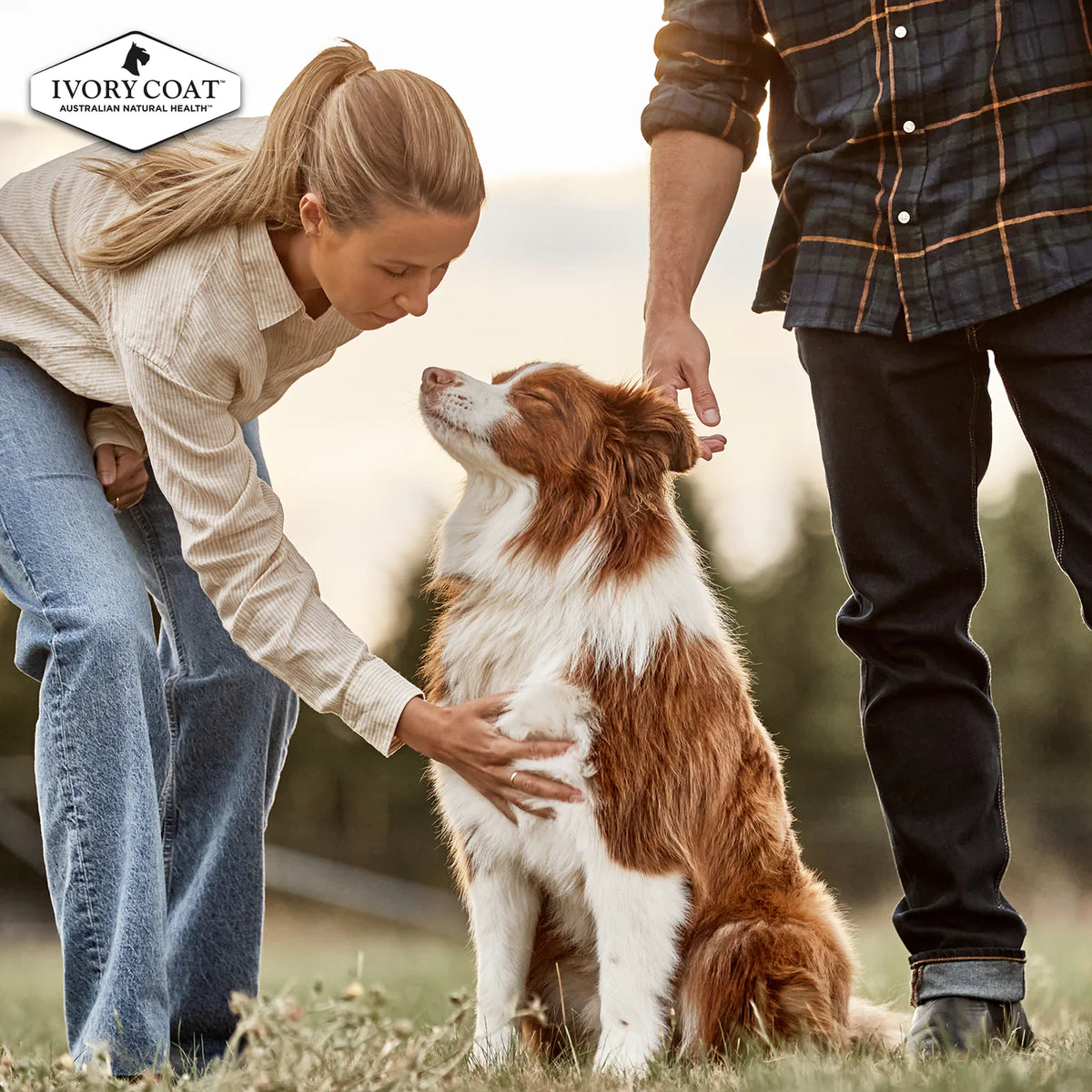 Ivory Coat Grain Free Adult Lamb And Kangaroo Dry Dog Food