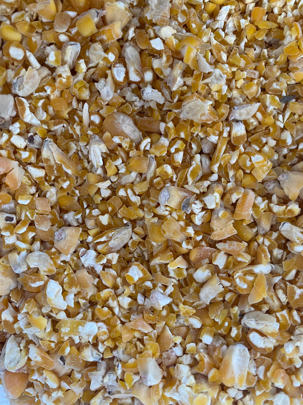 Jenco Maize/Corn Cracked