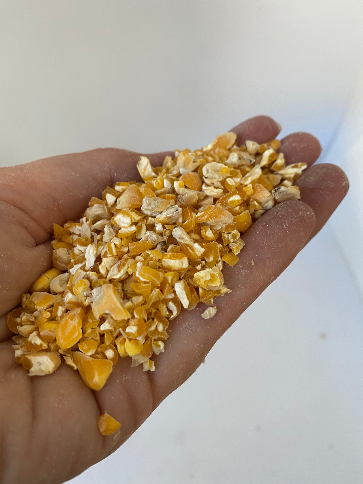 Jenco Maize/Corn Cracked