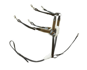 Jeremy and Lord Five Point Breastplate