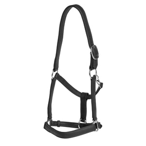 Jeremy and Lord Soft Touch Halter