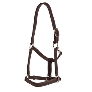 Jeremy and Lord Soft Touch Halter