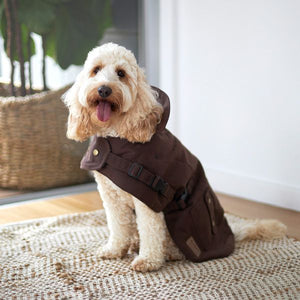 Aussie naturals 2024 dog coat