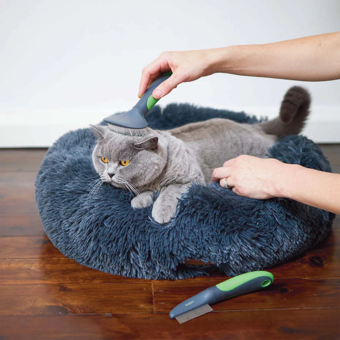 Kazoo Cat Brush - Slicker