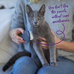 Kazoo Cat Brush - Soft