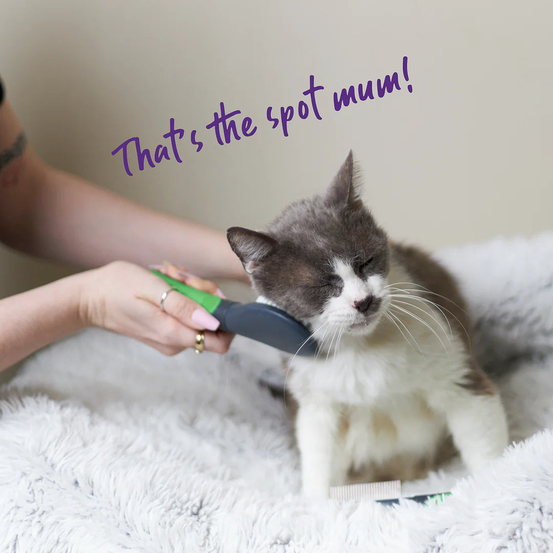 Kazoo Cat Brush - Soft