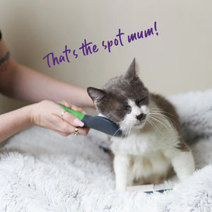 Kazoo Cat Brush - Soft