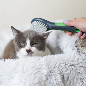 Kazoo Cat Brush - Soft
