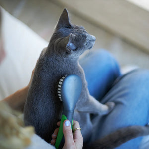 Kazoo Cat Brush - Soft