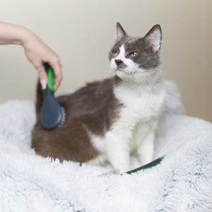 Kazoo Cat Brush - Soft