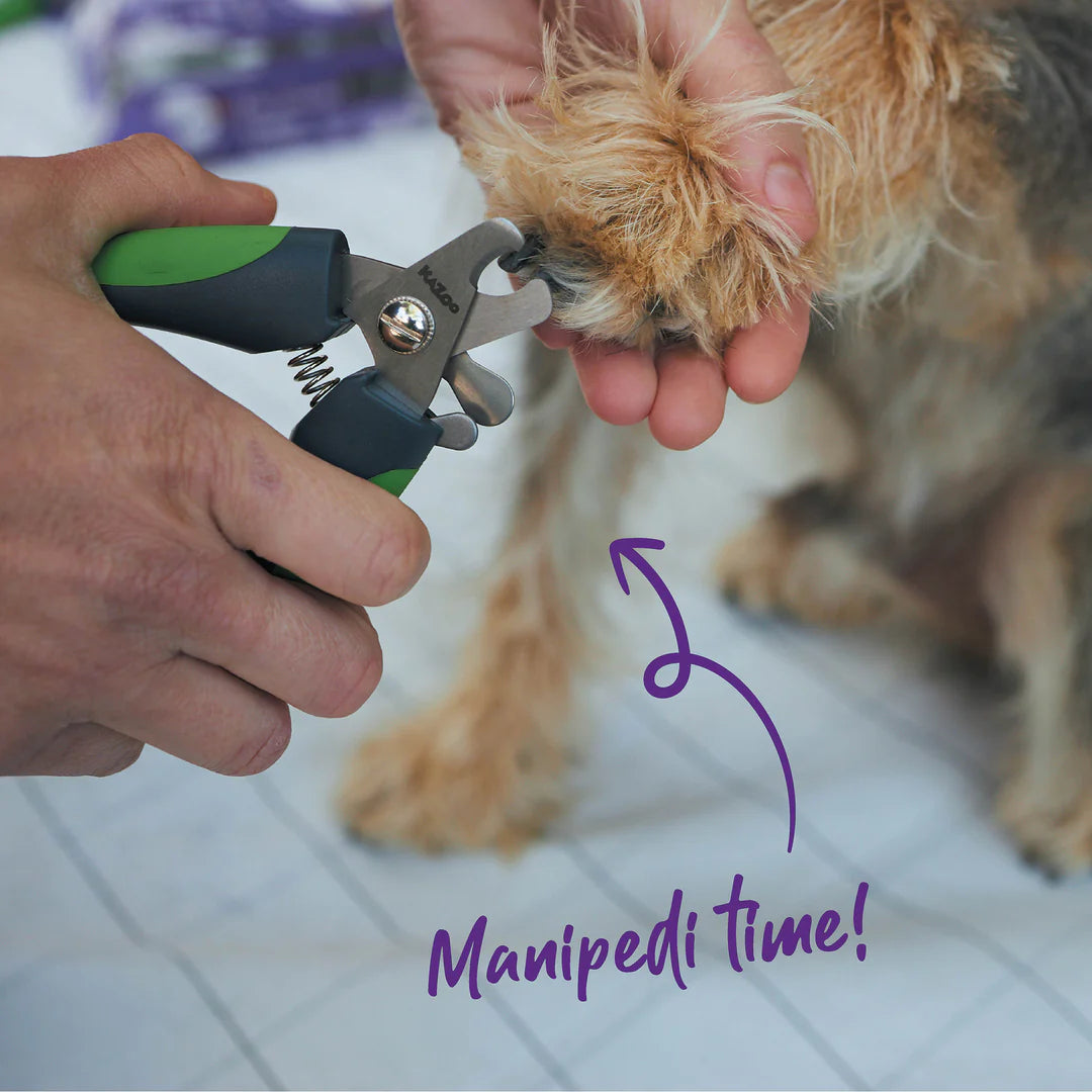 Kazoo online dog clippers