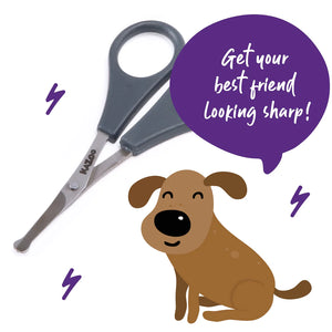 Kazoo Finishing Kit Ear and Face Care