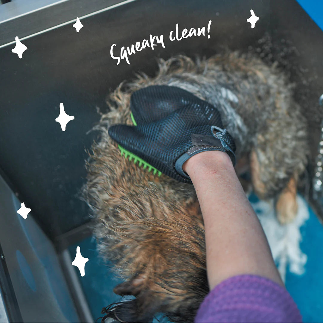 Kazoo Grooming Glove
