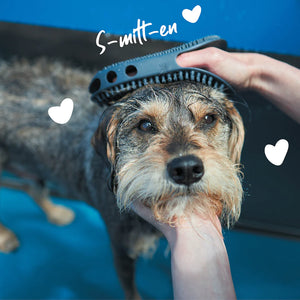 Kazoo Grooming Mitt