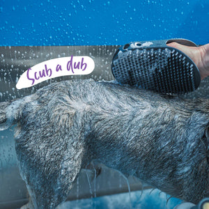 Kazoo Grooming Mitt