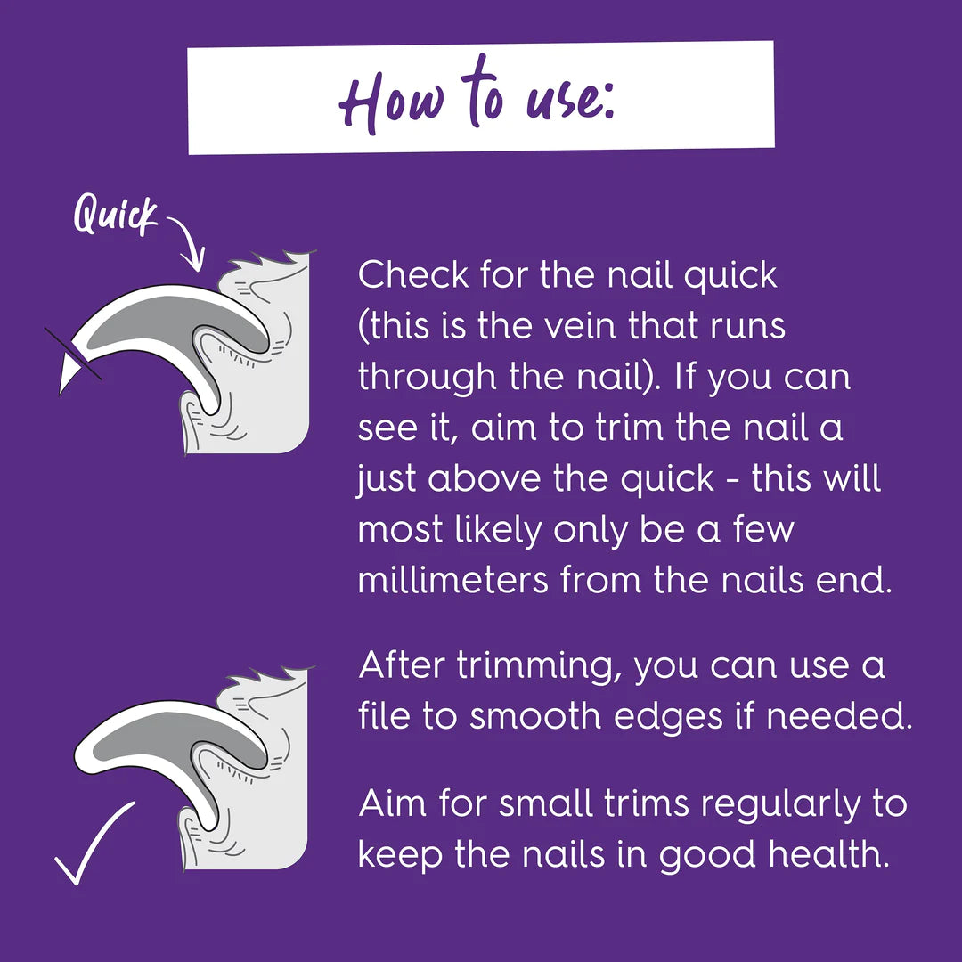 Kazoo Guillotine Nail Clipper