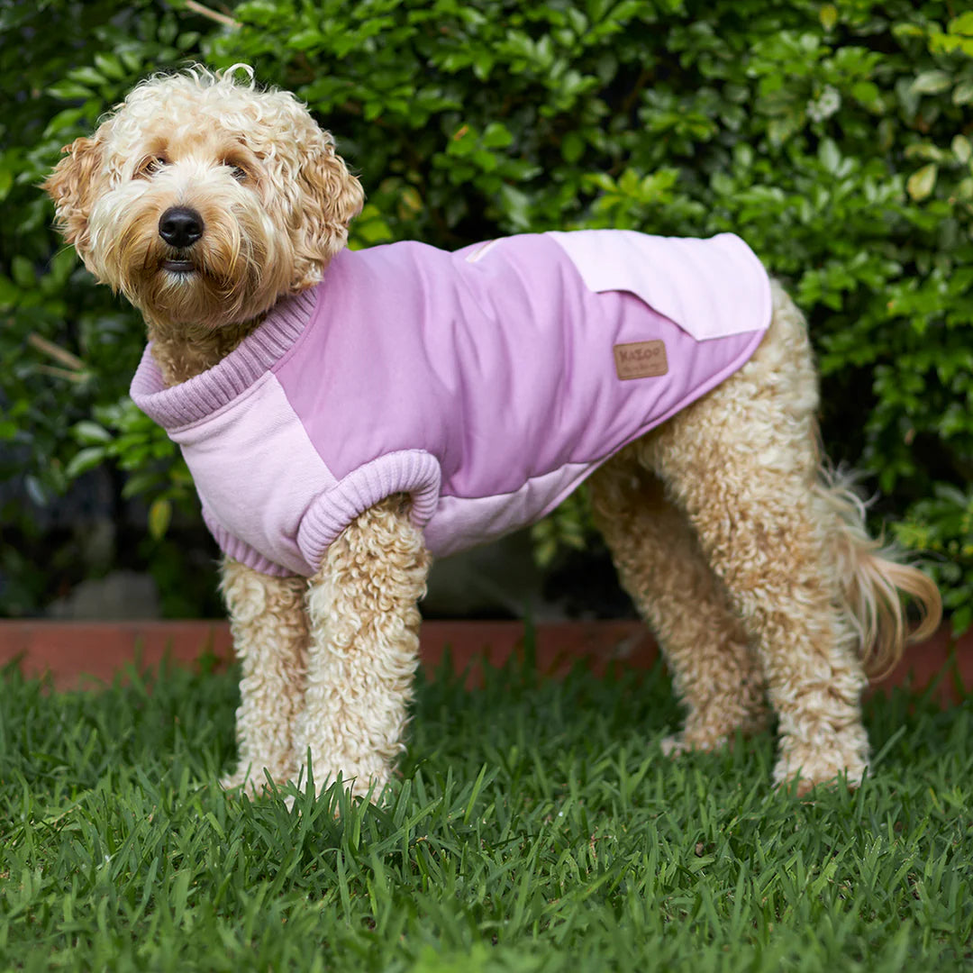 Kazoo dog jacket discount