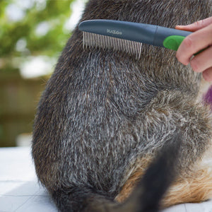 Kazoo Moulting Comb