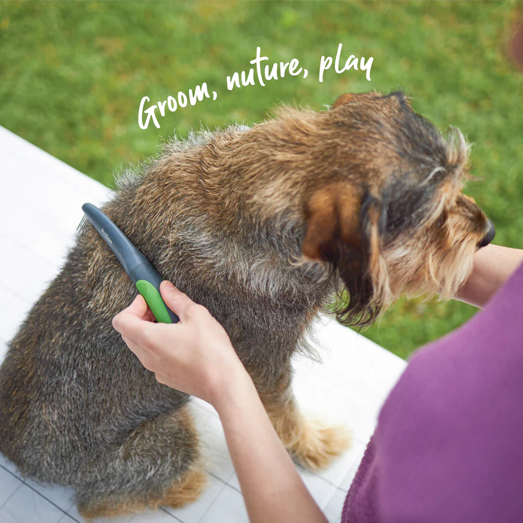 Kazoo Moulting Comb