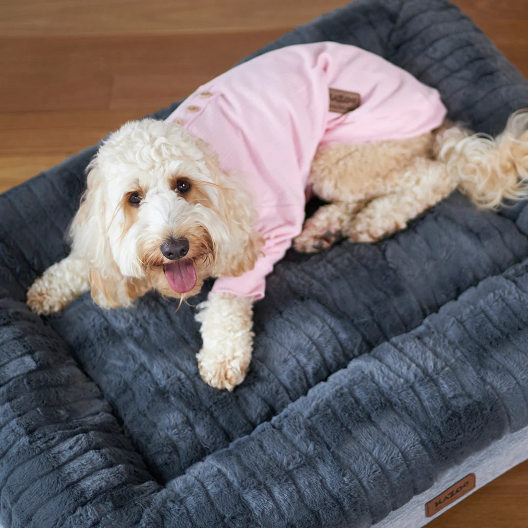 Kazoo Pooch Pajamas