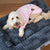 Kazoo Pooch Pajamas