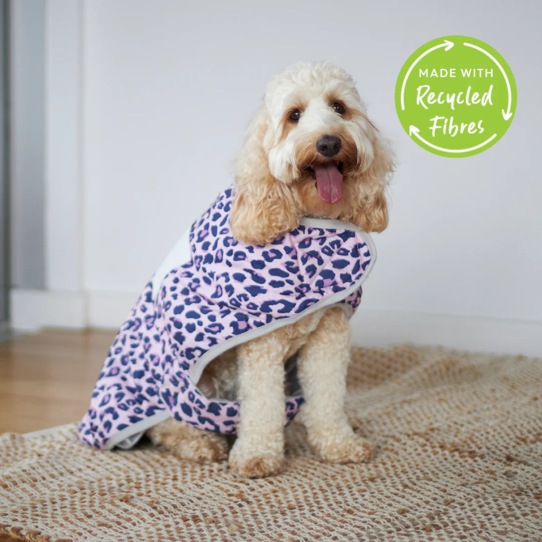 Kazoo Purple Panther Snuggie