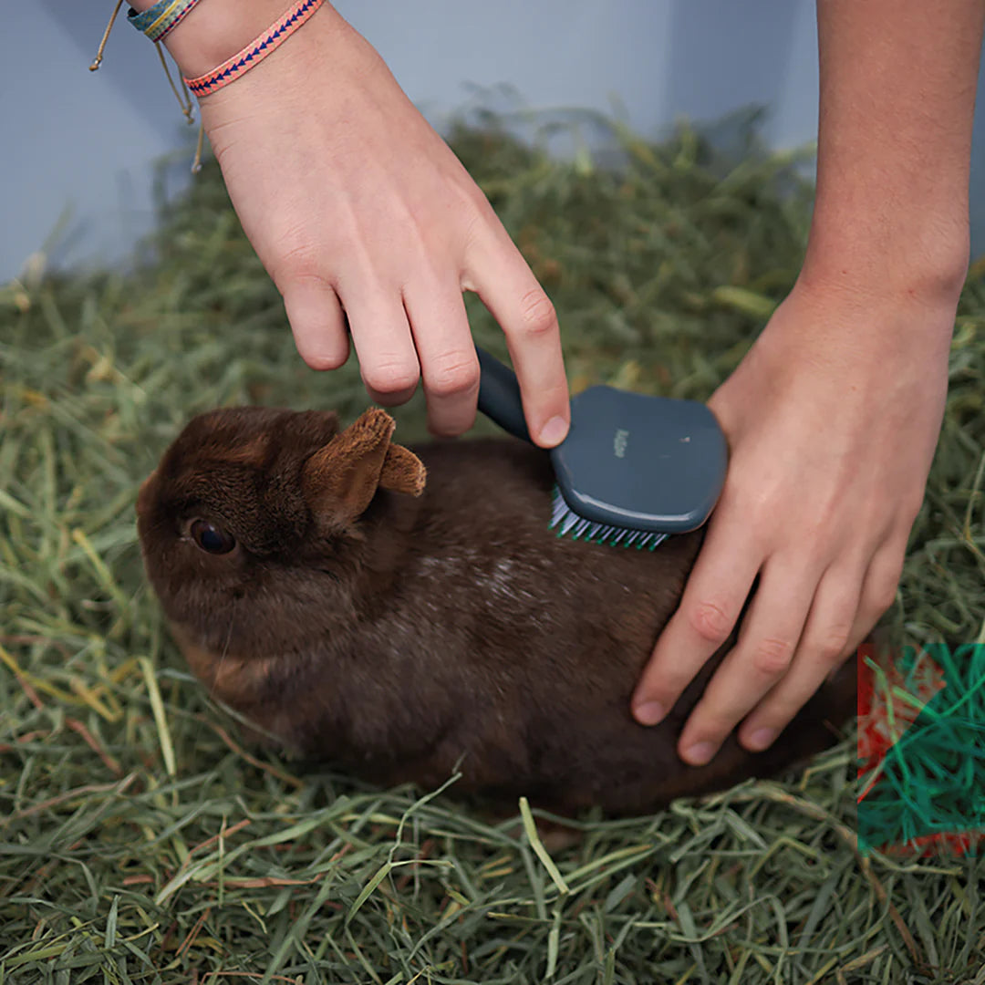 Kazoo Small Animal Slicker Brush