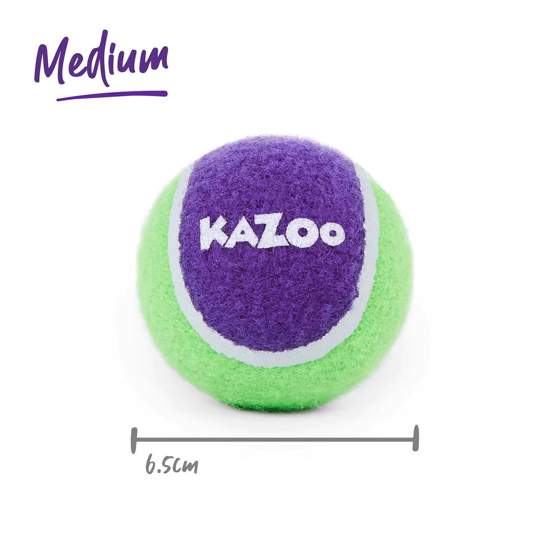 Kazoo Sponge Tennis Ball Dog Toy
