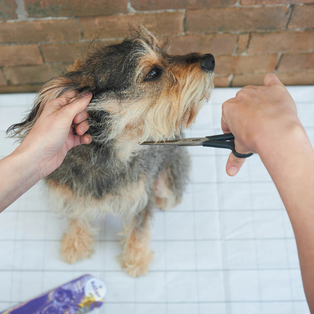 Kazoo Thinning Scissors