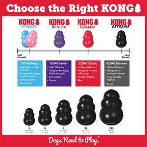 KONG Extreme Black Dog Toy