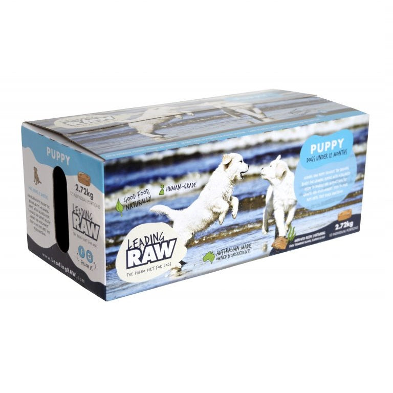 Leading Raw - Puppy