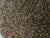 jenco Linseed