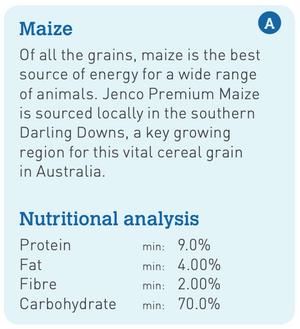 Jenco Maize/Corn Whole