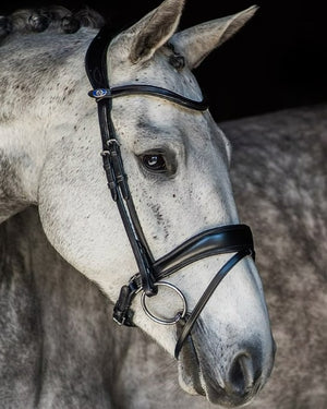 PSOS Bridle Flying Change