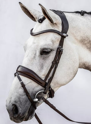 PSOS Bridle Flying Change