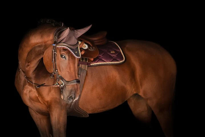 PSOS Fly Hat Monogram