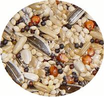 Passwell Avian Delight Bird Treat Bar - Parrot Delight