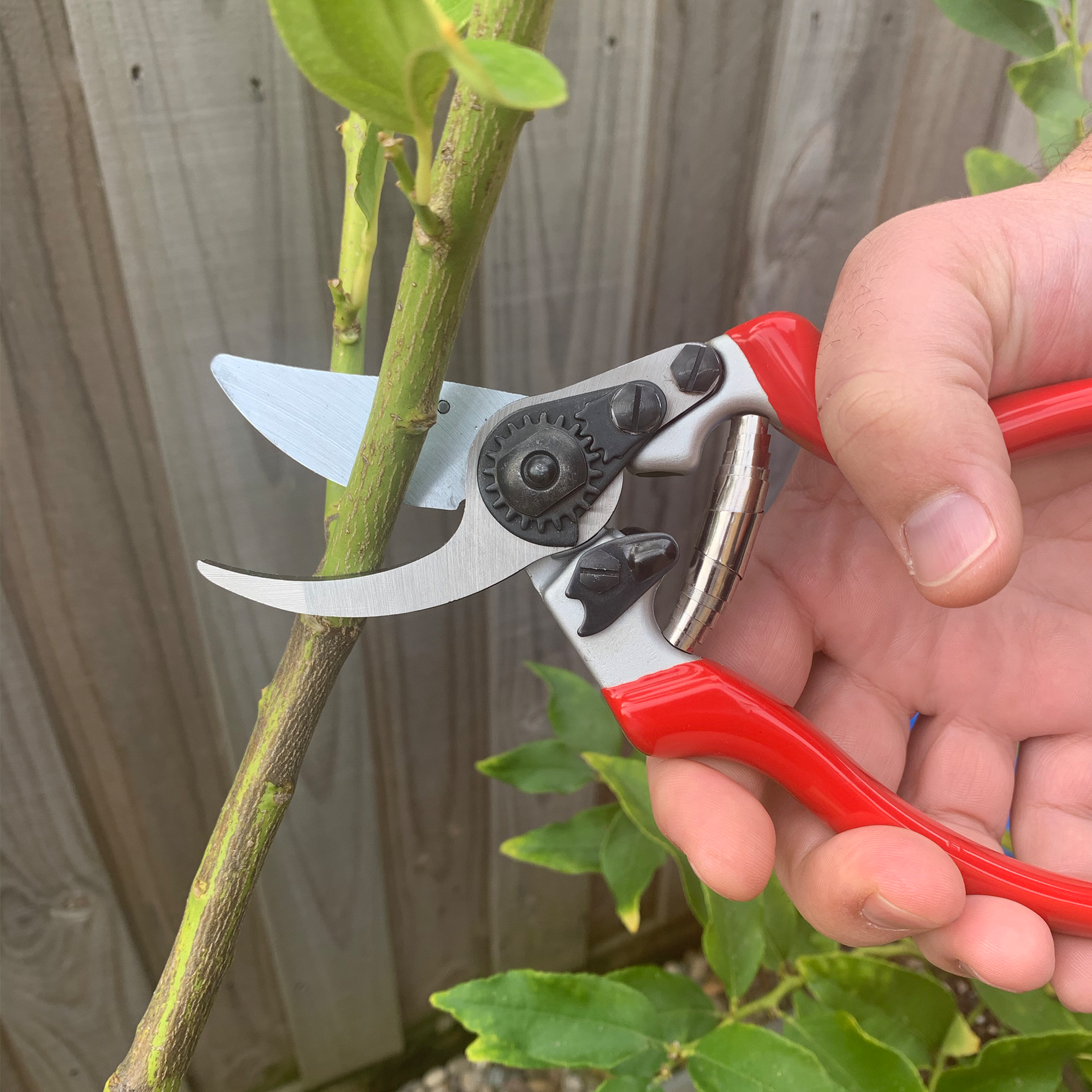 Spear and Jackson Bypass Secateur Razorsharp Pro - Ergo