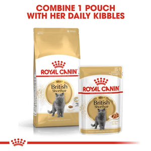 Royal Canin Cat British Shorthair Dry Food