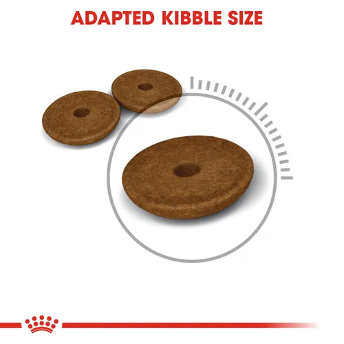 Royal Canin Cat Digestive Care Dry Food