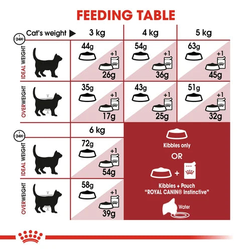 Royal Canin Cat Fit Dry Food