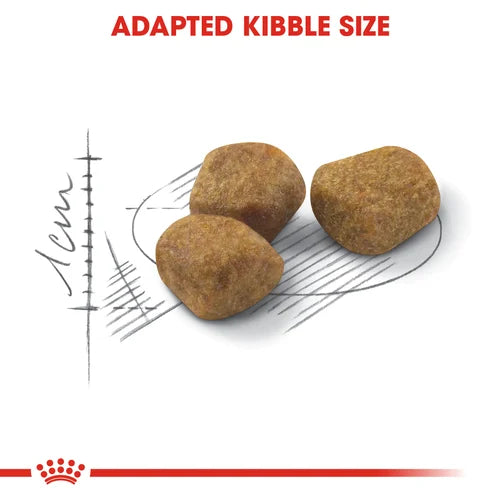 Royal Canin Cat Fit Dry Food