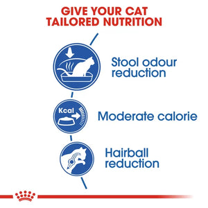 Royal Canin Cat Indoor Dry Food