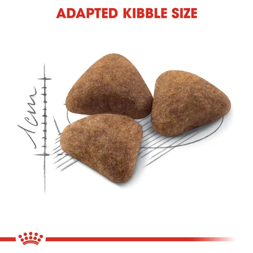 Royal Canin Cat Indoor Dry Food