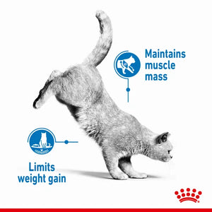 Royal Canin Cat Light Weight Care Dry Food