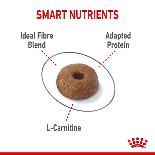 Royal Canin Cat Light Weight Care Dry Food