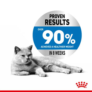 Royal Canin Cat Light Weight Care Dry Food