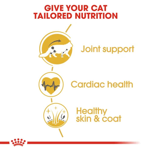 Royal Canin Cat Maine Coon Dry Food