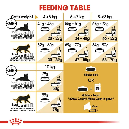 Royal Canin Cat Maine Coon Dry Food