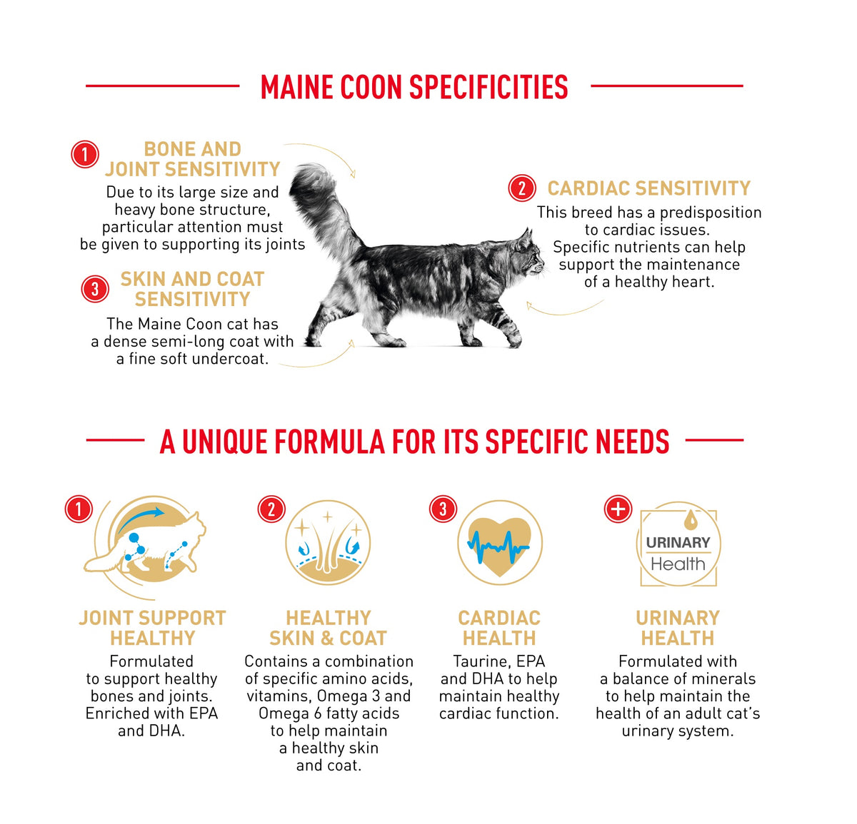 Royal Canin Cat Maine Coon Dry Food